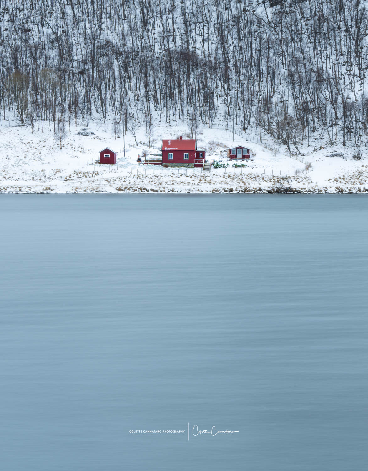 One of Norway's many red cabins along the water.  Long ago, the peasant fishermen needed to protect their wooden cabins and red...