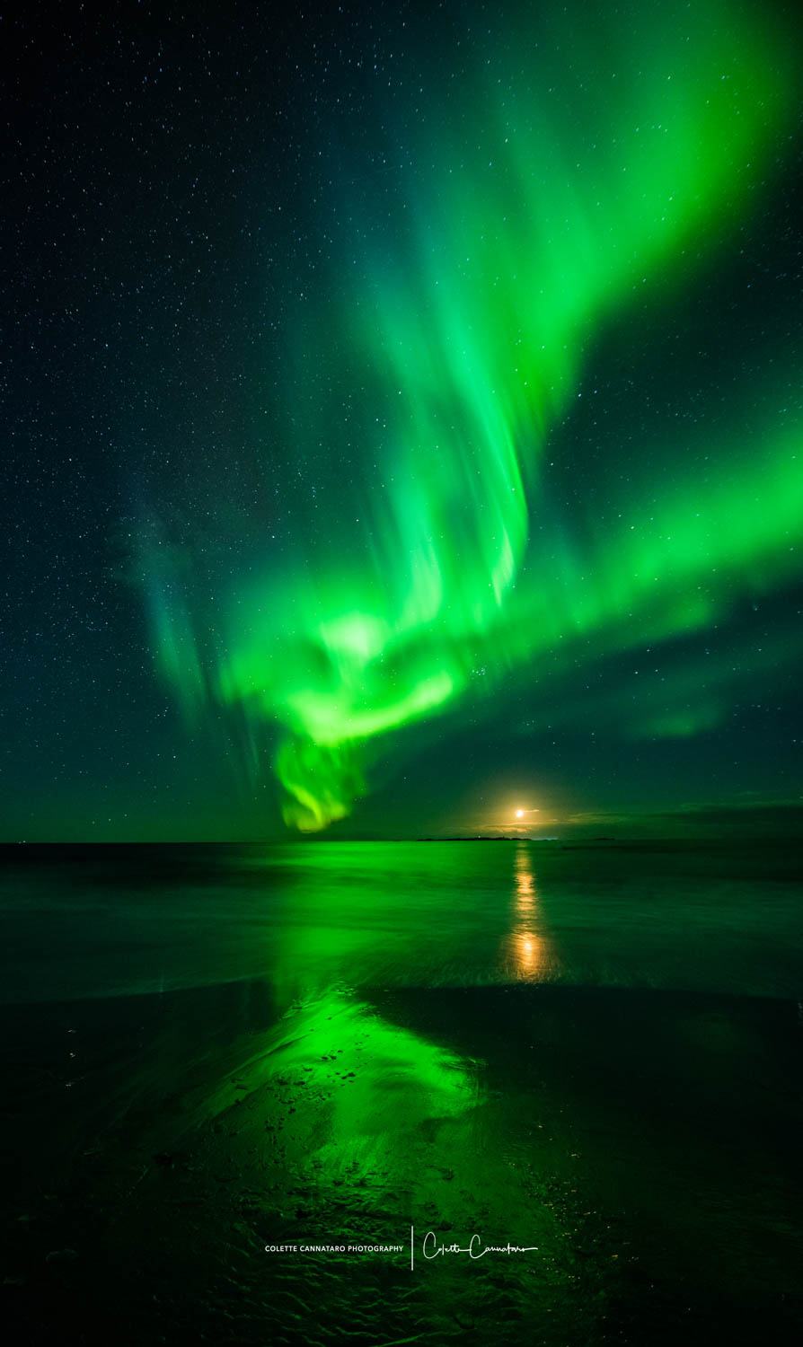 The Northern Lights and full moon reflecting over the sea and beach.